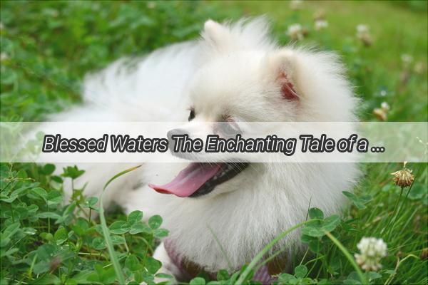 Blessed Waters The Enchanting Tale of a Pup Named Saint Water